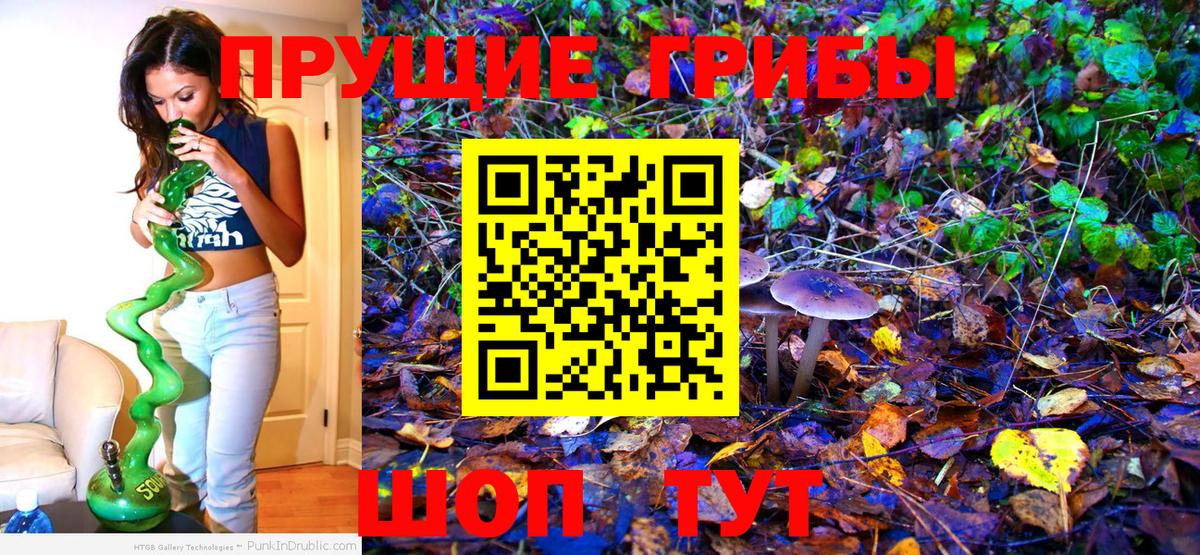 Галлюциногенные грибы Psilocybine cubensis  Вход с VPN  Россошь  Псилоцибиновые грибы GOLDEN TEACHER 